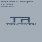 Funkagenda vs Ferry Corsten Cosmic Gate - What The Punk(Vadim Exler Touch)