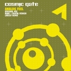 Cosmic Gate - Analog Feel(Rank 1 Digital Re-Harsh)